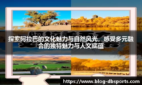db体育平台官网